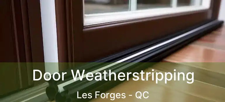  Door Weatherstripping Les Forges - QC