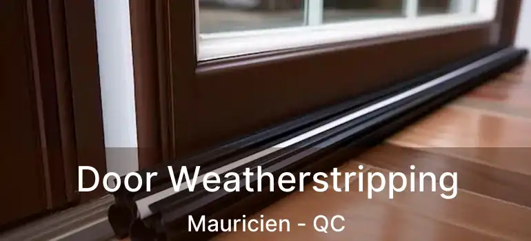  Door Weatherstripping Mauricien - QC