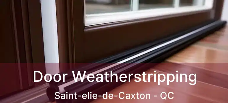  Door Weatherstripping Saint-elie-de-Caxton - QC