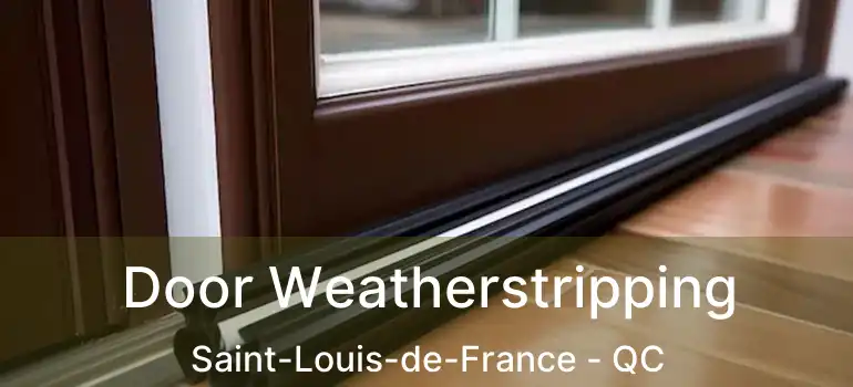  Door Weatherstripping Saint-Louis-de-France - QC