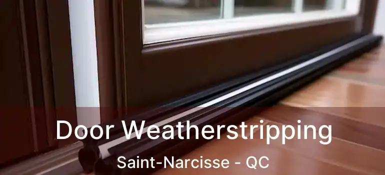  Door Weatherstripping Saint-Narcisse - QC