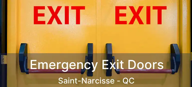  Emergency Exit Doors Saint-Narcisse - QC