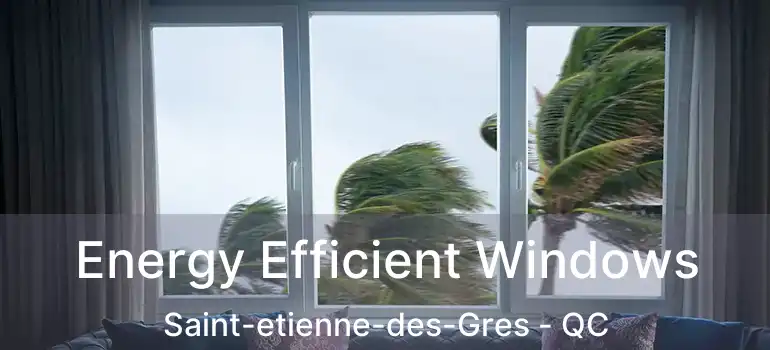  Energy Efficient Windows Saint-etienne-des-Gres - QC