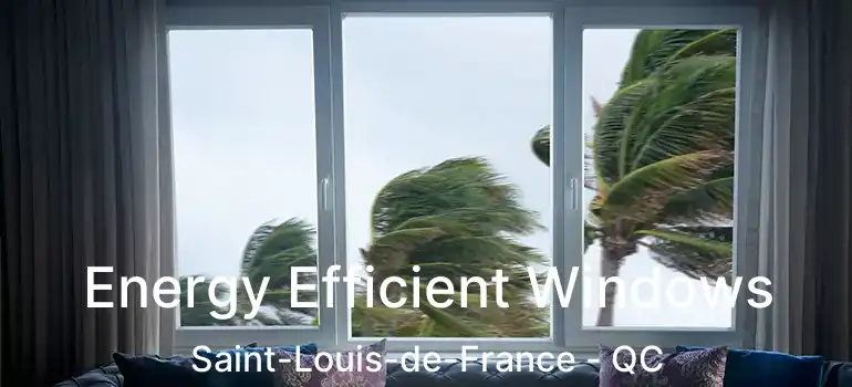  Energy Efficient Windows Saint-Louis-de-France - QC