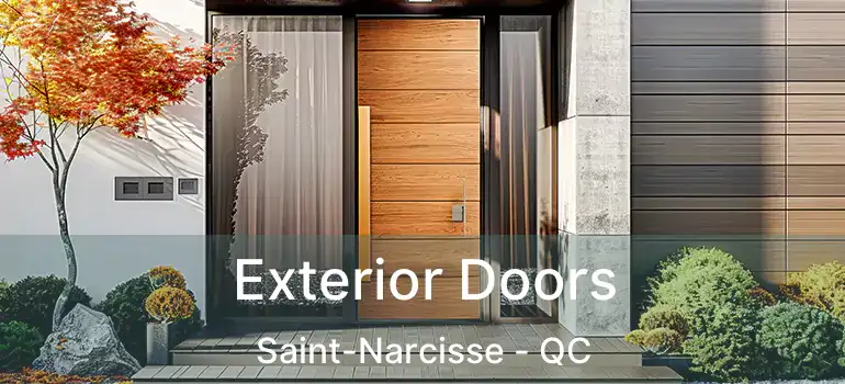  Exterior Doors Saint-Narcisse - QC