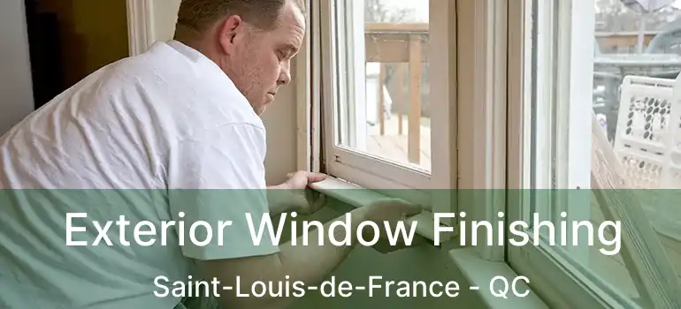  Exterior Window Finishing Saint-Louis-de-France - QC
