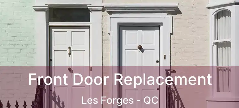  Front Door Replacement Les Forges - QC