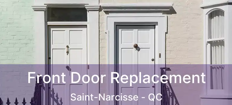  Front Door Replacement Saint-Narcisse - QC