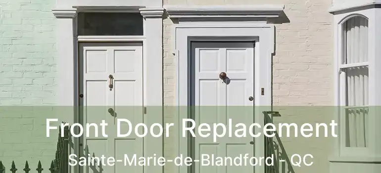 Front Door Replacement Sainte-Marie-de-Blandford - QC