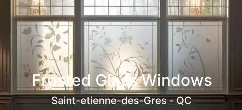 Frosted Glass Windows Saint-etienne-des-Gres - QC
