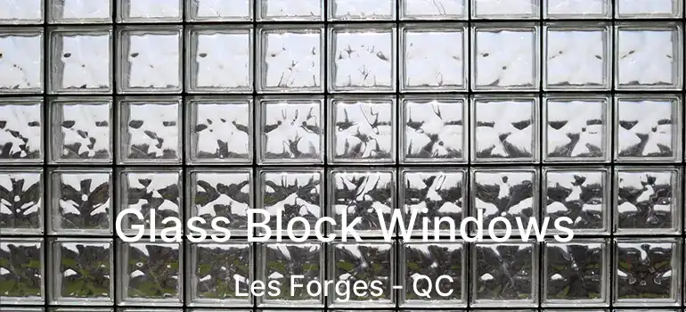  Glass Block Windows Les Forges - QC