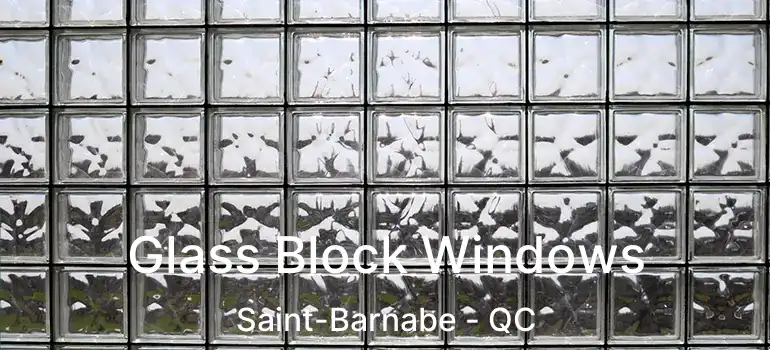  Glass Block Windows Saint-Barnabe - QC