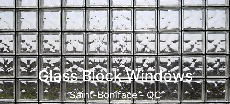  Glass Block Windows Saint-Boniface - QC