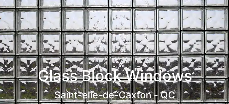  Glass Block Windows Saint-elie-de-Caxton - QC