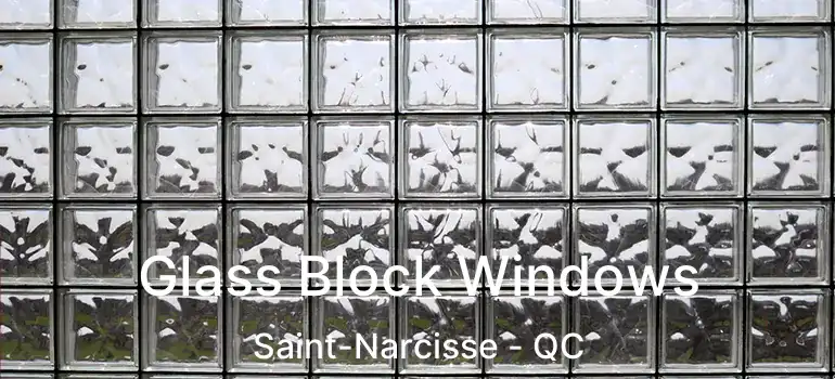  Glass Block Windows Saint-Narcisse - QC
