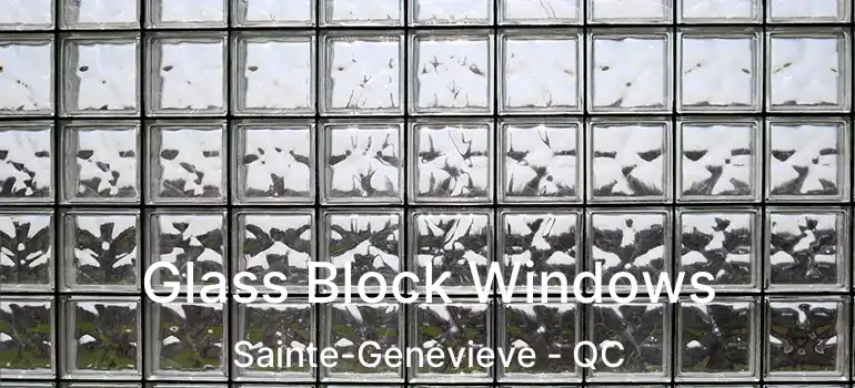  Glass Block Windows Sainte-Genevieve - QC