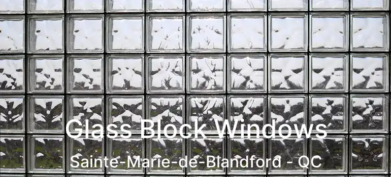  Glass Block Windows Sainte-Marie-de-Blandford - QC