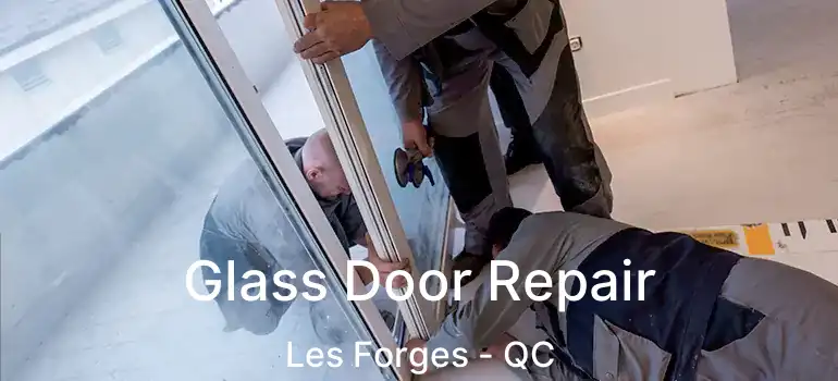  Glass Door Repair Les Forges - QC