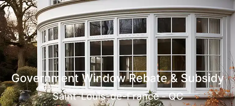  Government Window Rebate & Subsidy Saint-Louis-de-France - QC