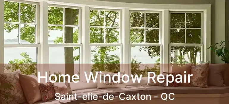  Home Window Repair Saint-elie-de-Caxton - QC