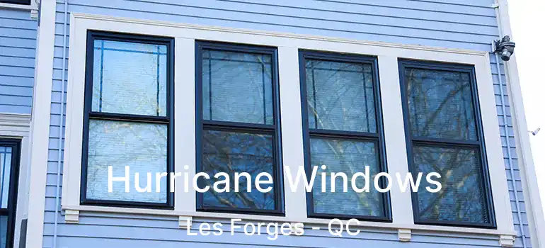  Hurricane Windows Les Forges - QC