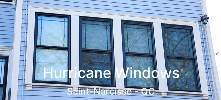  Hurricane Windows Saint-Narcisse - QC