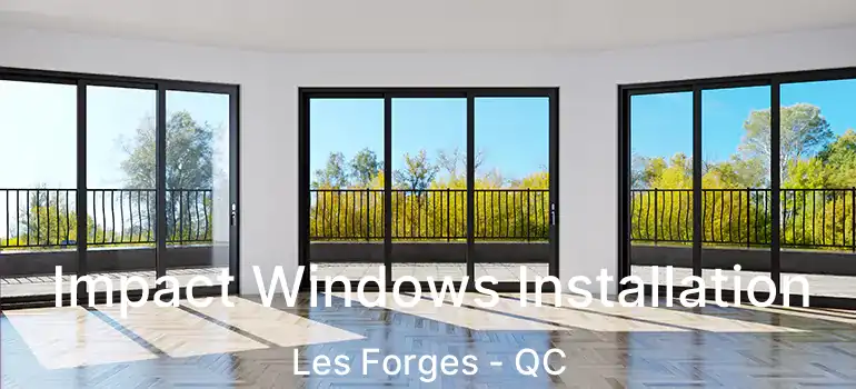  Impact Windows Installation Les Forges - QC
