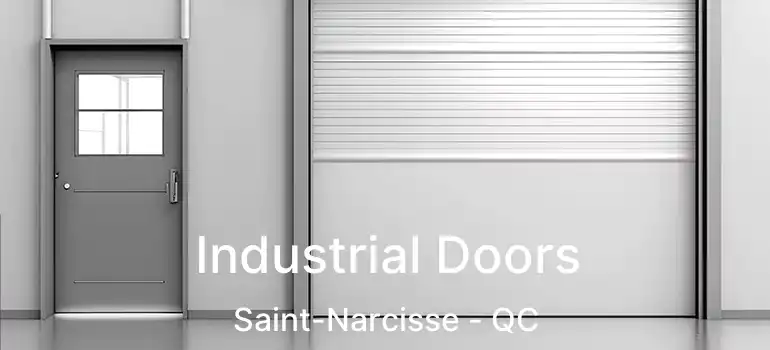  Industrial Doors Saint-Narcisse - QC