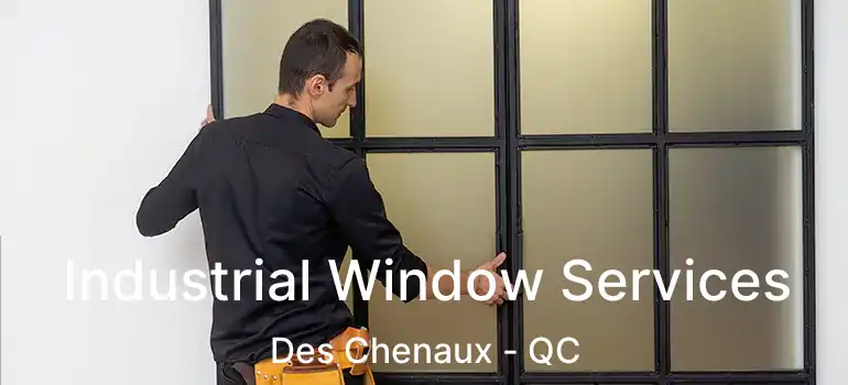  Industrial Window Services Des Chenaux - QC