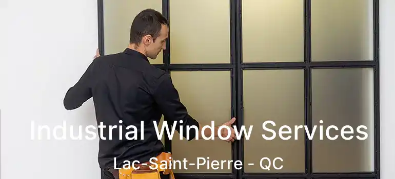  Industrial Window Services Lac-Saint-Pierre - QC