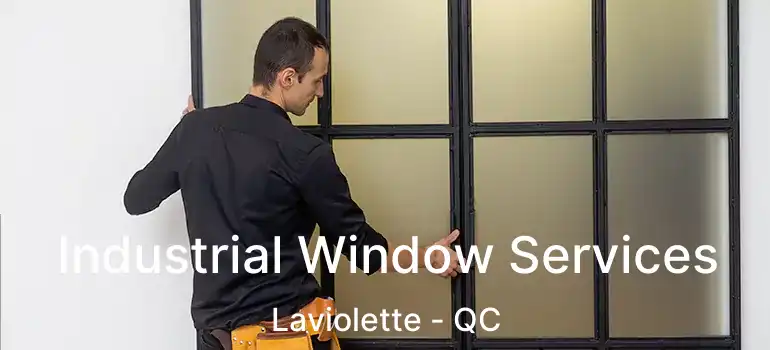  Industrial Window Services Laviolette - QC