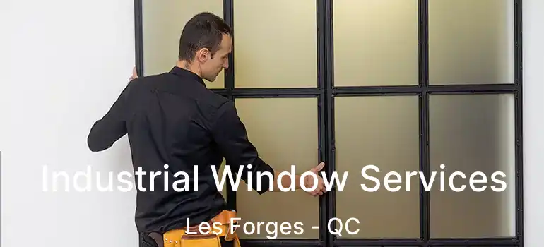  Industrial Window Services Les Forges - QC