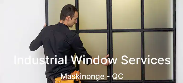  Industrial Window Services Maskinonge - QC