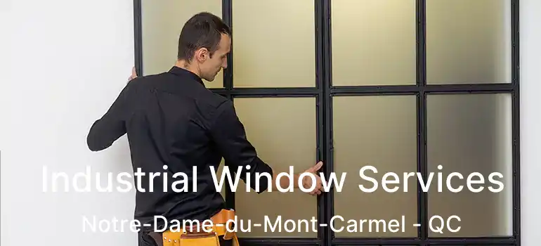  Industrial Window Services Notre-Dame-du-Mont-Carmel - QC