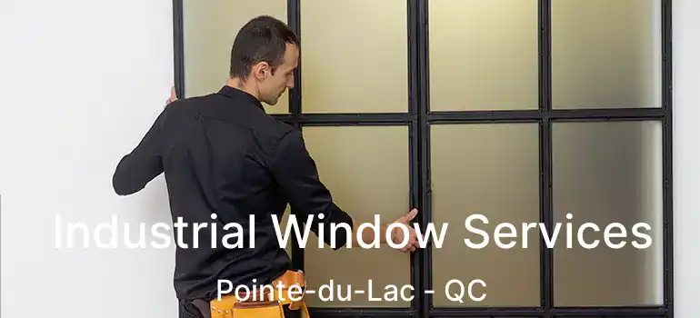  Industrial Window Services Pointe-du-Lac - QC