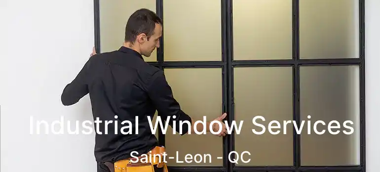  Industrial Window Services Saint-Leon - QC