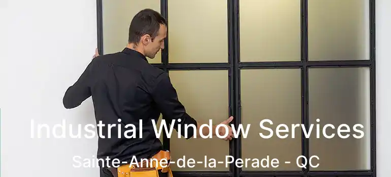  Industrial Window Services Sainte-Anne-de-la-Perade - QC