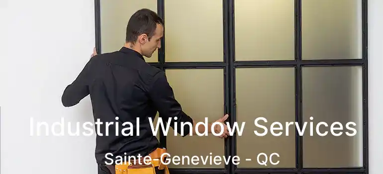  Industrial Window Services Sainte-Genevieve - QC