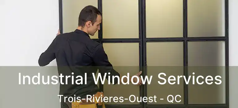  Industrial Window Services Trois-Rivieres-Ouest - QC