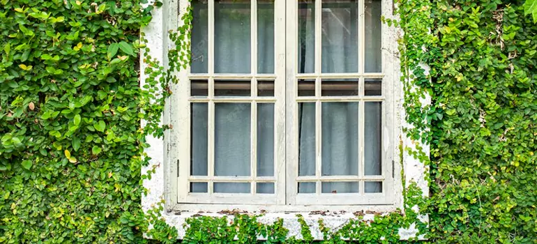 Garden Window Repair Near Me in Saint-etienne-des-Gres, QC