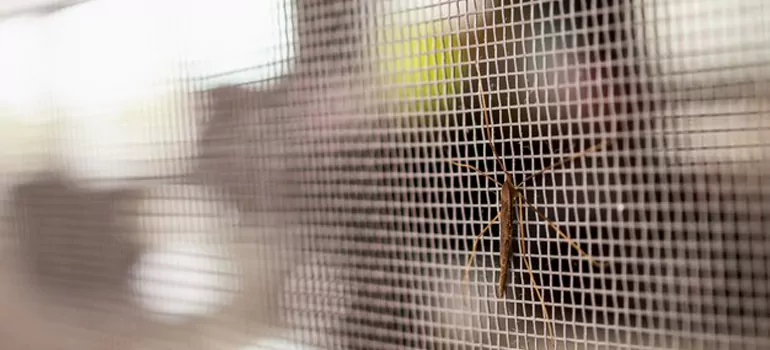 Repair Mosquito Mesh For Windows in Saint-etienne-des-Gres, Quebec