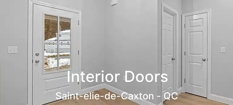  Interior Doors Saint-elie-de-Caxton - QC