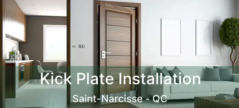  Kick Plate Installation Saint-Narcisse - QC