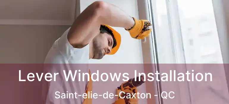  Lever Windows Installation Saint-elie-de-Caxton - QC