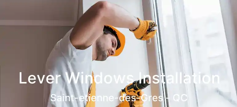  Lever Windows Installation Saint-etienne-des-Gres - QC