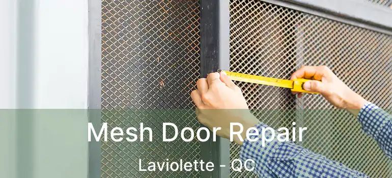  Mesh Door Repair Laviolette - QC