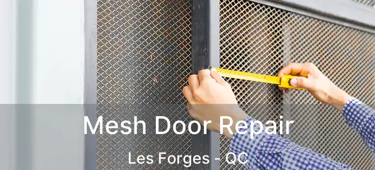  Mesh Door Repair Les Forges - QC