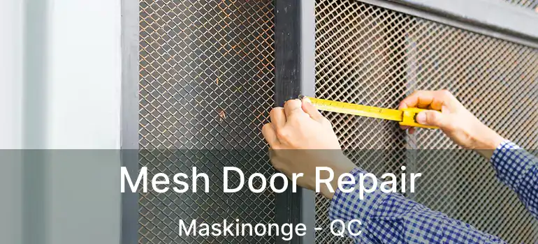  Mesh Door Repair Maskinonge - QC