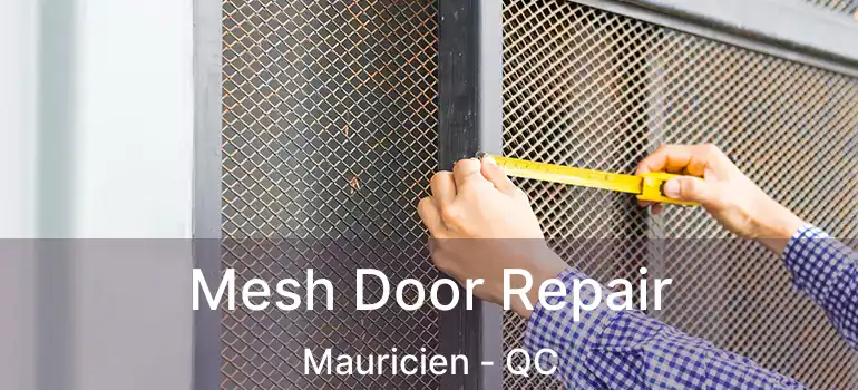  Mesh Door Repair Mauricien - QC