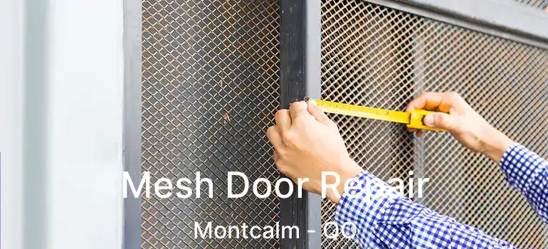  Mesh Door Repair Montcalm - QC